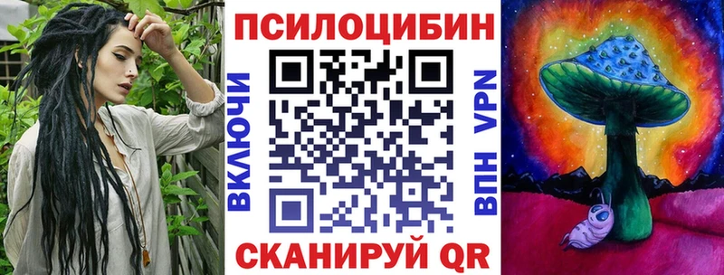 blacksprut зеркало  как найти наркотики  Нерчинск  Псилоцибиновые грибы Psilocybine cubensis 