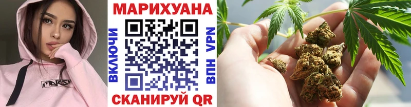 Бошки марихуана сатива  цена наркотик  Нерчинск 